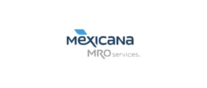 empresas coaching empresarial mexico (12)