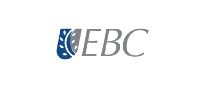 empresas coaching empresarial mexico (13)