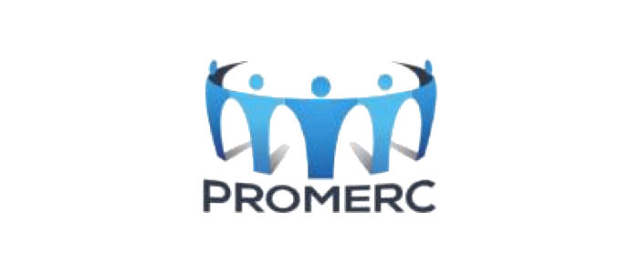empresas coaching empresarial mexico (15)