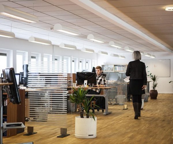 office, business, company, office, office, office, office, office